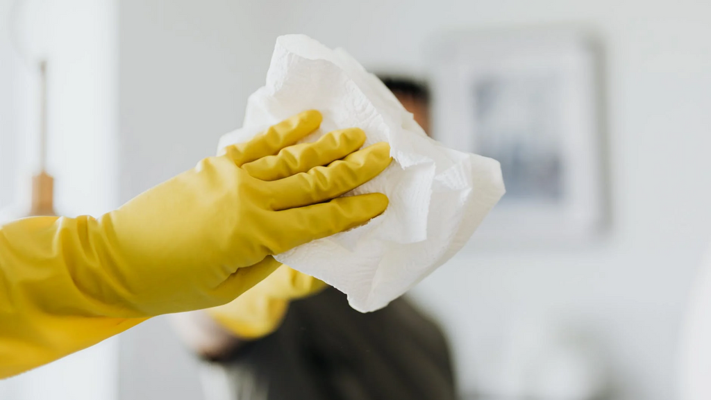 The Best Ways to Take Care and Disinfect Your Bags